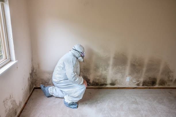 Biohazard Mold Removal in Blue Ridge, AL